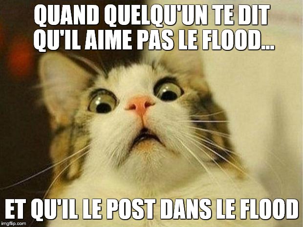 Scared Cat Meme | QUAND QUELQU'UN TE DIT QU'IL AIME PAS LE FLOOD... ET QU'IL LE POST DANS LE FLOOD | image tagged in memes,scared cat | made w/ Imgflip meme maker