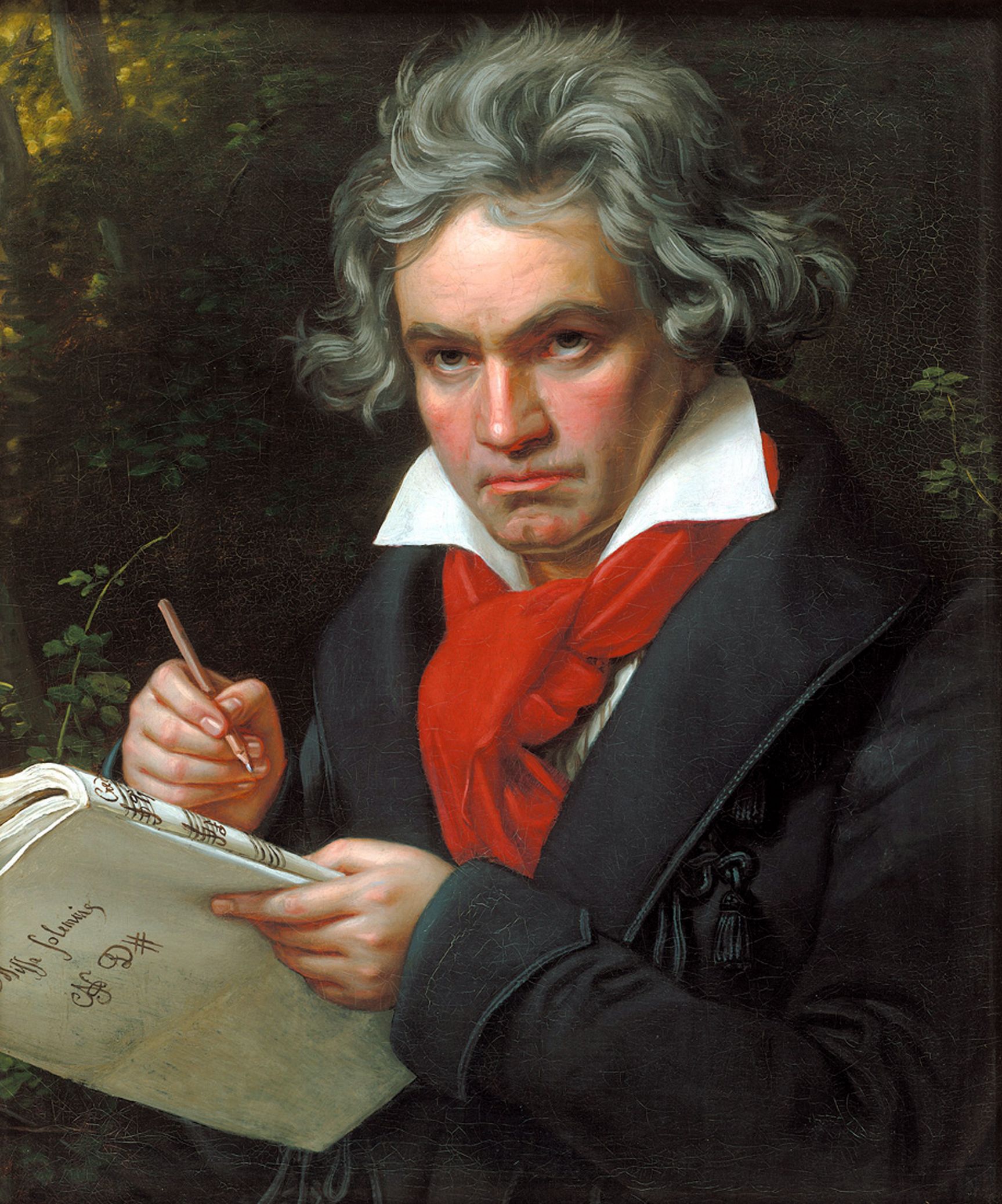 Beethoven Quote Blank Meme Template