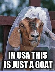 IN USA THIS IS JUST A GOAT | made w/ Imgflip meme maker