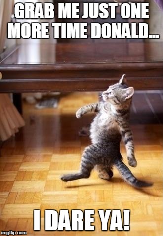 Cool Cat Stroll Meme | GRAB ME JUST ONE MORE TIME DONALD... I DARE YA! | image tagged in memes,cool cat stroll | made w/ Imgflip meme maker