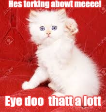 Nazi Kitty | Hes torking abowt meeee! Eye doo  thatt a lott | image tagged in nazi kitty | made w/ Imgflip meme maker