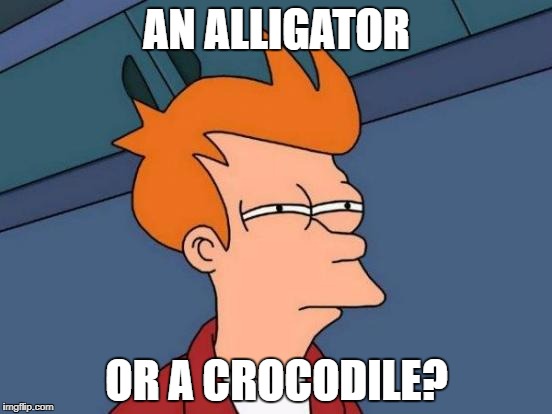 Futurama Fry Meme | AN ALLIGATOR; OR A CROCODILE? | image tagged in memes,futurama fry | made w/ Imgflip meme maker