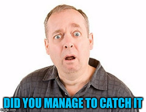 DID YOU MANAGE TO CATCH IT | made w/ Imgflip meme maker