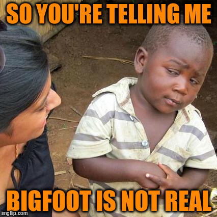 Third World Skeptical Kid Meme | SO YOU'RE TELLING ME BIGFOOT IS NOT REAL | image tagged in memes,third world skeptical kid | made w/ Imgflip meme maker