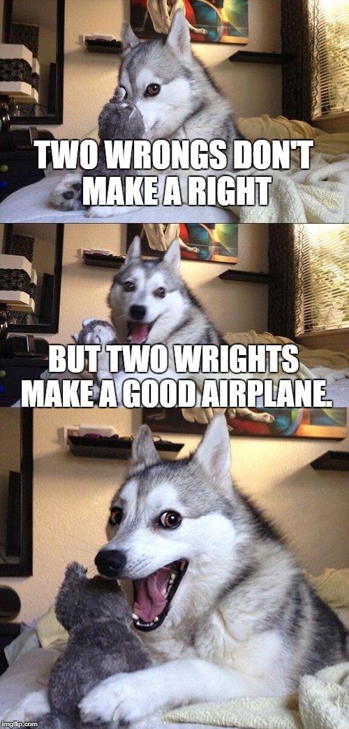 May or may not be stolen from a History Teacher | TWO WRONGS DON'T MAKE A RIGHT; BUT TWO WRIGHTS MAKE A GOOD AIRPLANE. | image tagged in memes,bad pun dog | made w/ Imgflip meme maker