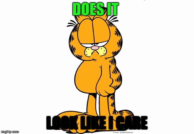 Grumpy Garfield | DOES IT; LOOK LIKE I CARE | image tagged in grumpy garfield | made w/ Imgflip meme maker