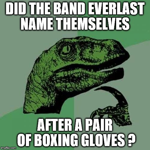 Philosoraptor | DID THE BAND EVERLAST NAME THEMSELVES; AFTER A PAIR OF BOXING GLOVES ? | image tagged in memes,philosoraptor | made w/ Imgflip meme maker