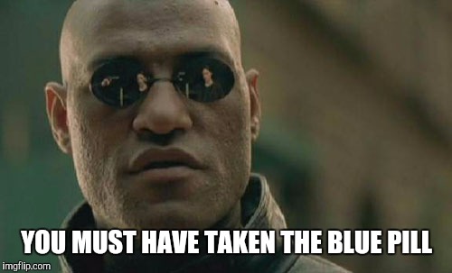 Matrix Morpheus Meme | YOU MUST HAVE TAKEN THE BLUE PILL | image tagged in memes,matrix morpheus | made w/ Imgflip meme maker