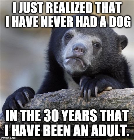 Confession Bear Meme | I JUST REALIZED THAT I HAVE NEVER HAD A DOG; IN THE 30 YEARS THAT I HAVE BEEN AN ADULT. | image tagged in memes,confession bear | made w/ Imgflip meme maker