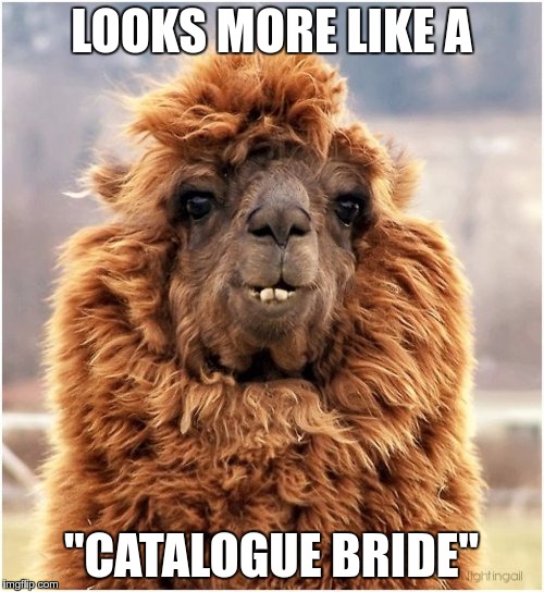 LOOKS MORE LIKE A "CATALOGUE BRIDE" | made w/ Imgflip meme maker