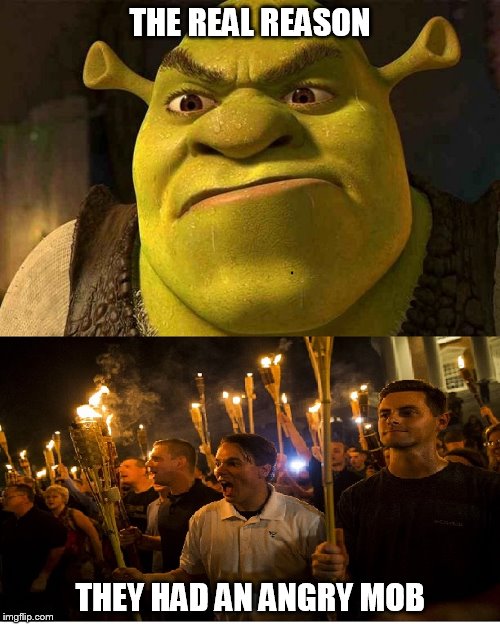 THE REAL REASON; THEY HAD AN ANGRY MOB | image tagged in riots,shrek,charlottesville | made w/ Imgflip meme maker