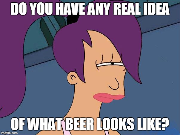 DO YOU HAVE ANY REAL IDEA OF WHAT BEER LOOKS LIKE? | made w/ Imgflip meme maker