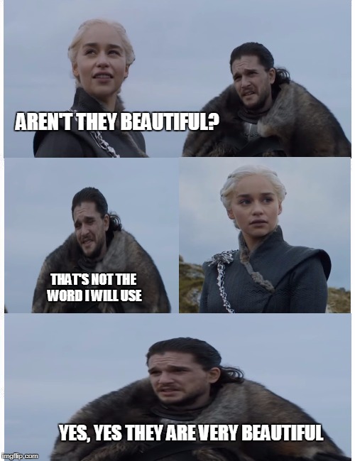 The Danny Stare  | AREN'T THEY BEAUTIFUL? THAT'S NOT THE WORD I WILL USE; YES, YES THEY ARE VERY BEAUTIFUL | image tagged in memes | made w/ Imgflip meme maker