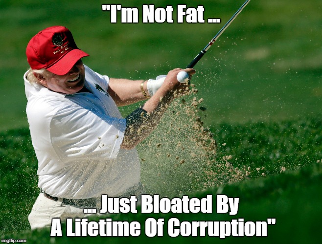 "I'm Not Fat ... ... Just Bloated By A Lifetime Of Corruption" | made w/ Imgflip meme maker