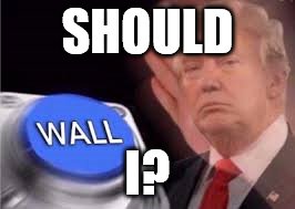 trump wall | SHOULD; I? | image tagged in trump wall | made w/ Imgflip meme maker