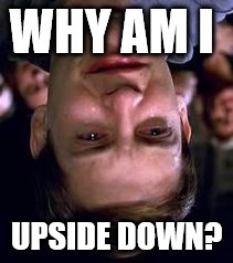 Peter Parker crying | WHY AM I; UPSIDE DOWN? | image tagged in peter parker crying | made w/ Imgflip meme maker