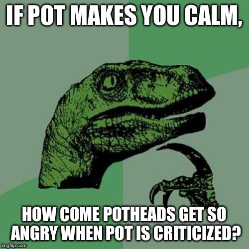 Philosoraptor Meme | IF POT MAKES YOU CALM, HOW COME POTHEADS GET SO ANGRY WHEN POT IS CRITICIZED? | image tagged in memes,philosoraptor | made w/ Imgflip meme maker