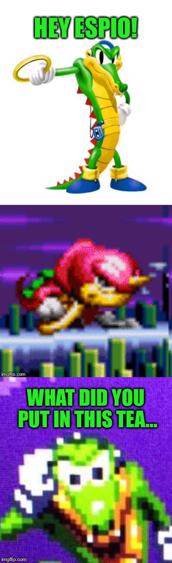 You ok there?  | HEY ESPIO! WHAT DID YOU PUT IN THIS TEA... | image tagged in sonic the hedgehog,vector the crocodile,espio the chameleon | made w/ Imgflip meme maker
