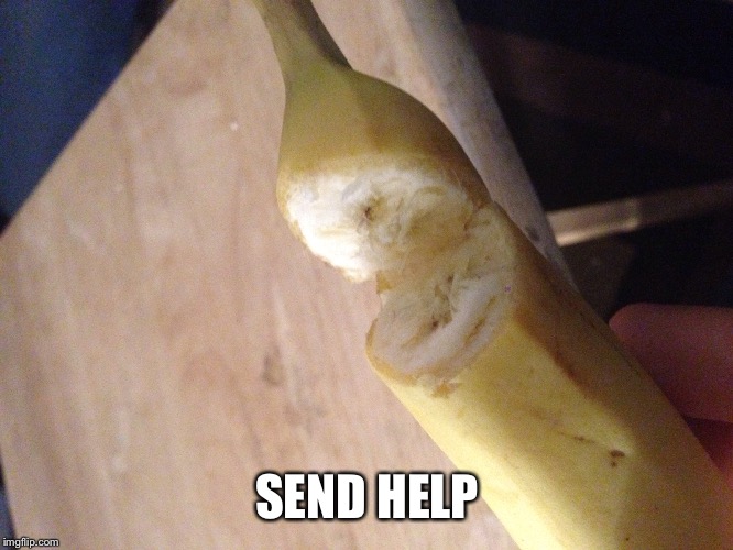 SEND HELP | image tagged in help,banana | made w/ Imgflip meme maker