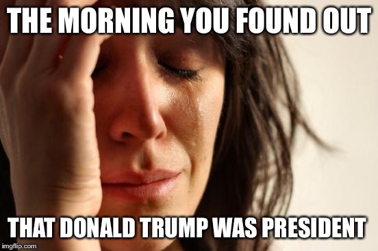 First World Problems Meme |  THE MORNING YOU FOUND OUT; THAT DONALD TRUMP WAS PRESIDENT | made w/ Imgflip meme maker