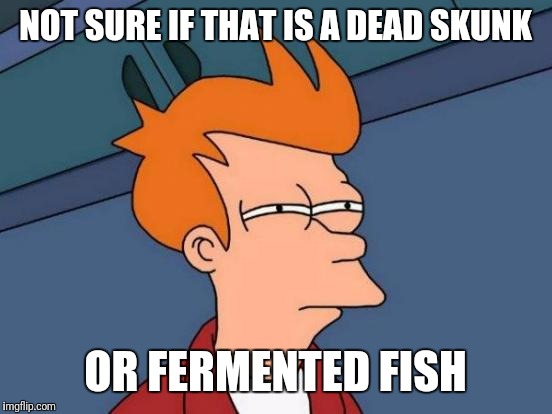 Futurama Fry Meme | NOT SURE IF THAT IS A DEAD SKUNK; OR FERMENTED FISH | image tagged in memes,futurama fry | made w/ Imgflip meme maker