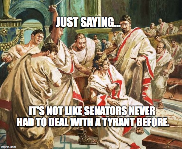 Caesarian Section | JUST SAYING... IT'S NOT LIKE SENATORS NEVER HAD TO DEAL WITH A TYRANT BEFORE. | image tagged in caesarian section,julius caesar,senators,bobcrespocom | made w/ Imgflip meme maker