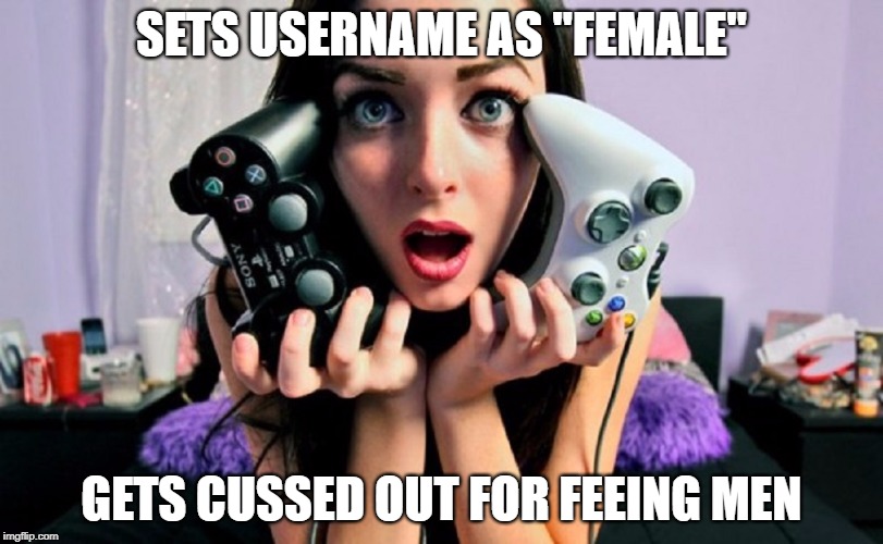 Gamer Girls | SETS USERNAME AS "FEMALE"; GETS CUSSED OUT FOR FEEING MEN | image tagged in gamer girls | made w/ Imgflip meme maker