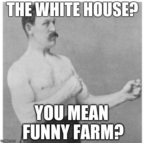 Overly Manly Man That's The Crazies  | THE WHITE HOUSE? YOU MEAN FUNNY FARM? | image tagged in memes,overly manly man,white house | made w/ Imgflip meme maker