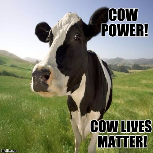 COW POWER! COW LIVES MATTER! | made w/ Imgflip meme maker