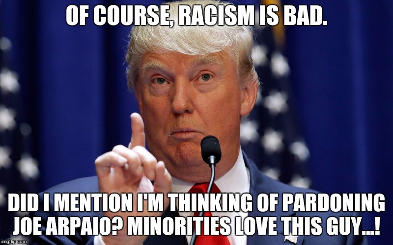 How stupid are Trump supporters? | OF COURSE, RACISM IS BAD. DID I MENTION I'M THINKING OF PARDONING JOE ARPAIO? MINORITIES LOVE THIS GUY...! | image tagged in donald trump | made w/ Imgflip meme maker