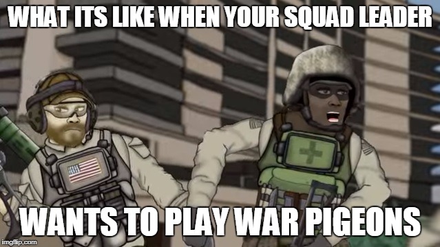 WHAT ITS LIKE WHEN YOUR SQUAD LEADER; WANTS TO PLAY WAR PIGEONS | image tagged in battlefield friends medic and engineer | made w/ Imgflip meme maker