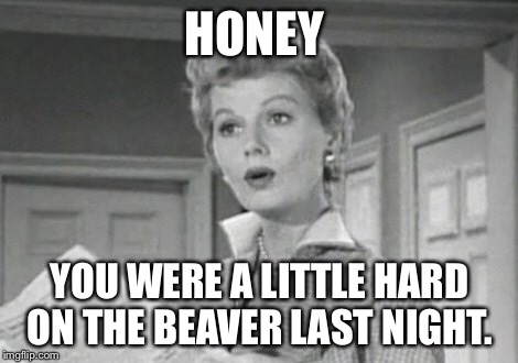 June Cleaver  | HONEY; YOU WERE A LITTLE HARD ON THE BEAVER LAST NIGHT. | image tagged in leave it to beaver | made w/ Imgflip meme maker