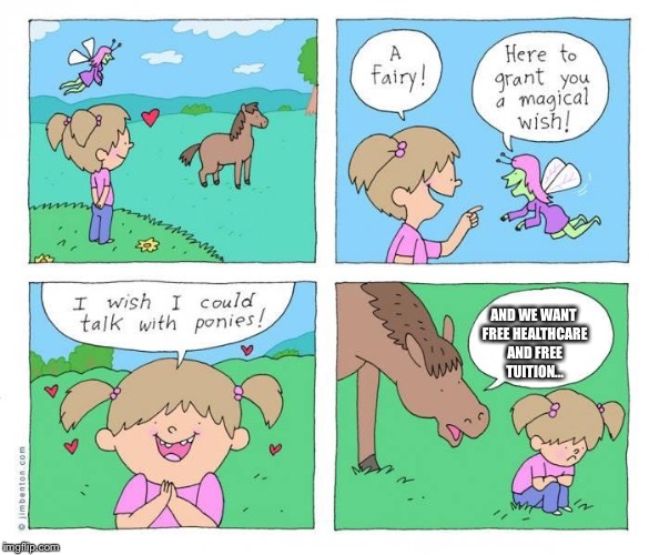 I wish i could talk to ponies | AND WE WANT FREE HEALTHCARE AND FREE TUITION... | image tagged in i wish i could talk to ponies | made w/ Imgflip meme maker
