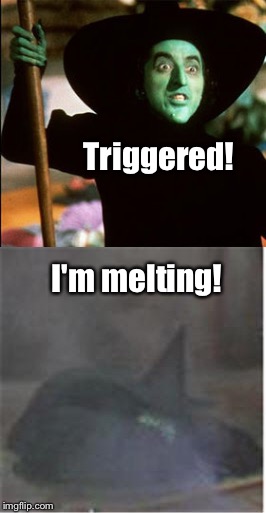 Triggered! I'm melting! | made w/ Imgflip meme maker