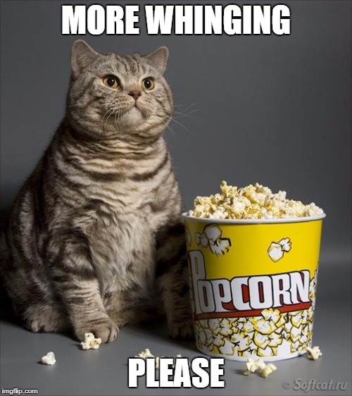 Cat eating popcorn | MORE WHINGING; PLEASE | image tagged in cat eating popcorn | made w/ Imgflip meme maker