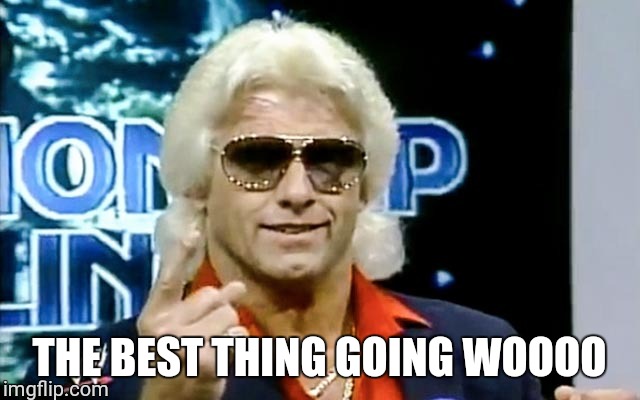 ric flair | THE BEST THING GOING WOOOO | image tagged in ric flair | made w/ Imgflip meme maker