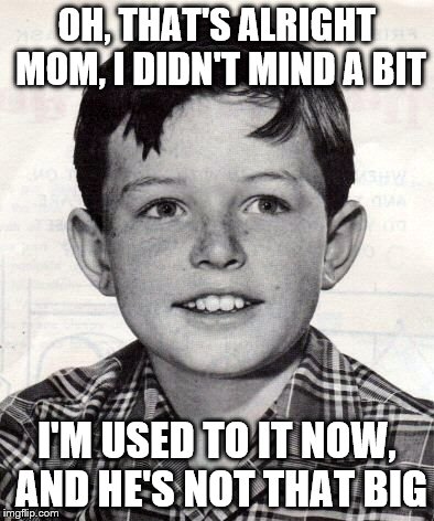 OH, THAT'S ALRIGHT MOM, I DIDN'T MIND A BIT I'M USED TO IT NOW, AND HE'S NOT THAT BIG | made w/ Imgflip meme maker