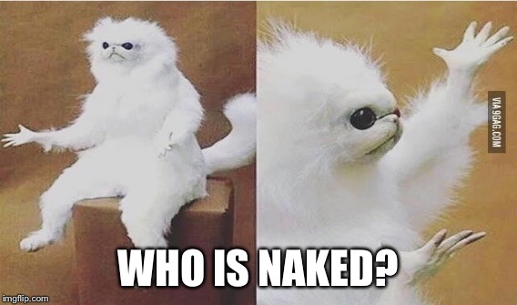 WHO IS NAKED? | made w/ Imgflip meme maker