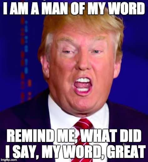 great is my word | I AM A MAN OF MY WORD; REMIND ME, WHAT DID I SAY, MY WORD, GREAT | image tagged in wordplay,donald trump approves,post-truth,joke,funny not funny | made w/ Imgflip meme maker