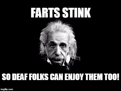 Albert Einstein 1 Meme | FARTS STINK; SO DEAF FOLKS CAN ENJOY THEM TOO! | image tagged in memes,albert einstein 1 | made w/ Imgflip meme maker
