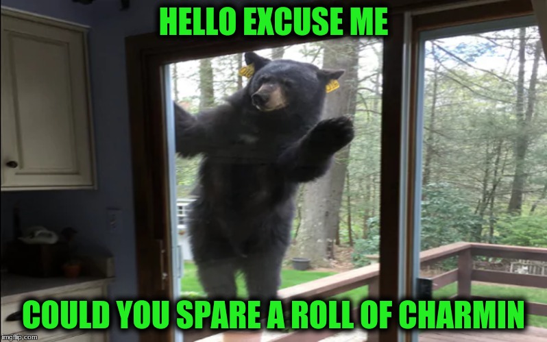It's makes going in the woods better! | HELLO EXCUSE ME; COULD YOU SPARE A ROLL OF CHARMIN | image tagged in memes,charmin bears,custom template | made w/ Imgflip meme maker