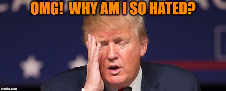 Even with all the good President Trump is doing! | OMG!  WHY AM I SO HATED? | image tagged in president trump | made w/ Imgflip meme maker