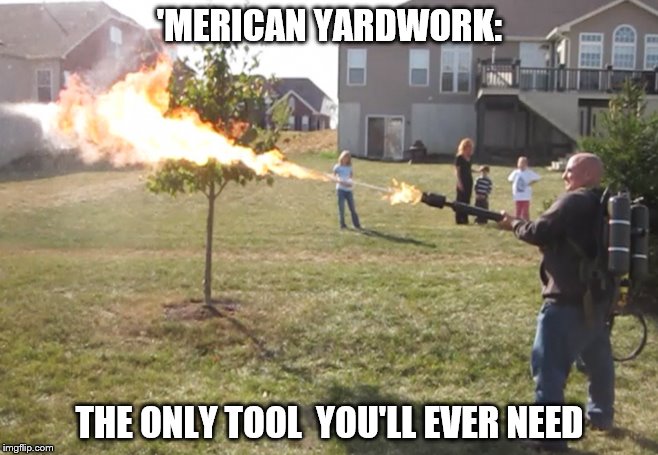 'MERICAN YARDWORK:; THE ONLY TOOL  YOU'LL EVER NEED | image tagged in american lawn care | made w/ Imgflip meme maker