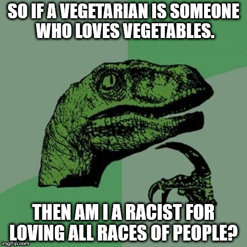 Philosoraptor | SO IF A VEGETARIAN IS SOMEONE WHO LOVES VEGETABLES. THEN AM I A RACIST FOR LOVING ALL RACES OF PEOPLE? | image tagged in memes,philosoraptor | made w/ Imgflip meme maker