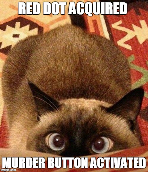 Cat murder | RED DOT ACQUIRED; MURDER BUTTON ACTIVATED | image tagged in red dot | made w/ Imgflip meme maker