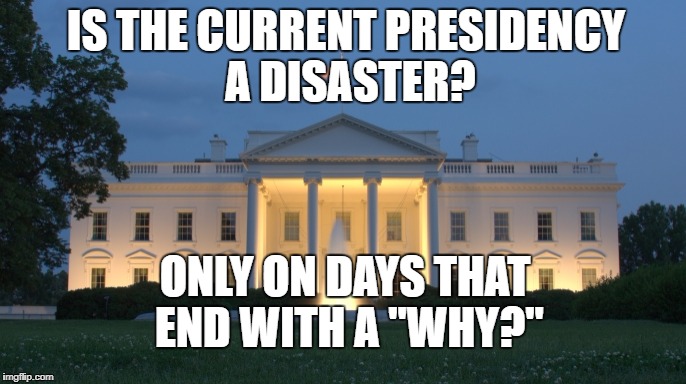 white house | IS THE CURRENT PRESIDENCY A DISASTER? ONLY ON DAYS THAT END WITH A "WHY?" | image tagged in white house | made w/ Imgflip meme maker