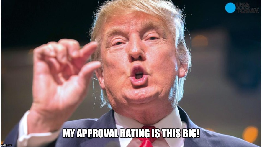 Donald Trump small brain | MY APPROVAL RATING IS THIS BIG! | image tagged in donald trump small brain | made w/ Imgflip meme maker