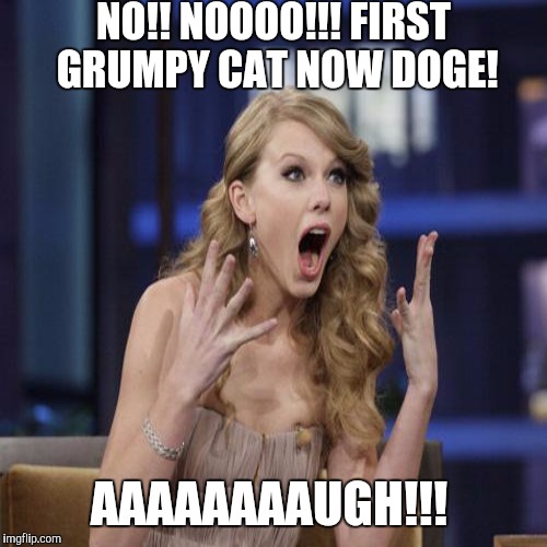 NO!! NOOOO!!! FIRST GRUMPY CAT NOW DOGE! AAAAAAAAUGH!!! | made w/ Imgflip meme maker