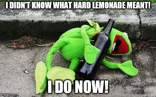 Drunk Kermit | I DIDN'T KNOW WHAT HARD LEMONADE MEANT! I DO NOW! | image tagged in drunk kermit | made w/ Imgflip meme maker