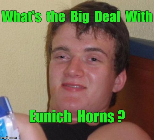 What's the Big Deal With ... | What's  the  Big  Deal  With; Eunich  Horns ? | image tagged in memes,10 guy,unicorns | made w/ Imgflip meme maker